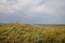 Путешествие по берегам Маныча