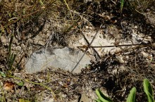 Ветряная мельница в Табунщиково