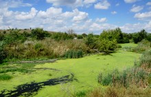 Ветряная мельница в Табунщиково