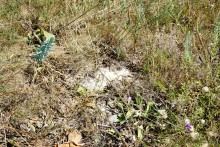 Ветряная мельница в Табунщиково