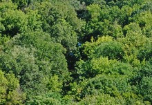 Река Миус под скалами у села Русское