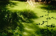 Река Миус под скалами у села Русское