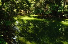 Река Миус под скалами у села Русское