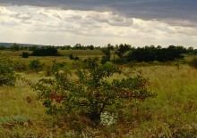 Осень на реке Калитве