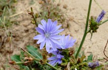 Осень на реке Калитве