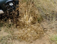 Осень на реке Калитве