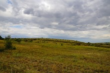 Выходы розового песчаника в долине реки Калитвы