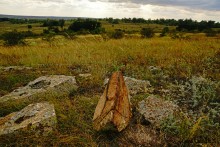 Выходы розового песчаника в долине реки Калитвы