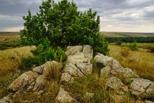 Выходы розового песчаника в долине реки Калитвы