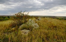 Выходы розового песчаника в долине реки Калитвы