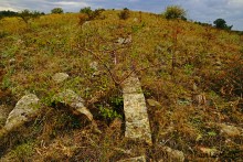 Выходы розового песчаника в долине реки Калитвы