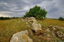 Выходы розового песчаника в долине реки Калитвы