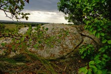 Выходы розового песчаника в долине реки Калитвы