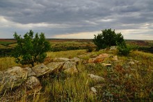 Выходы розового песчаника в долине реки Калитвы