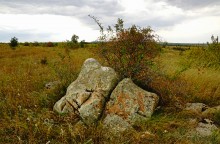 Выходы розового песчаника в долине реки Калитвы