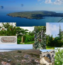 Заповедник Казантип, его природа и обитатели