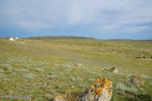 Заповедник Казантип, его природа и обитатели