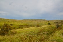 Заповедник Казантип, его природа и обитатели