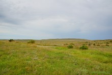 Заповедник Казантип, его природа и обитатели