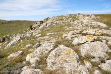 Заповедник Казантип, его природа и обитатели