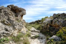 Заповедник Казантип, его природа и обитатели