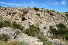 Заповедник Казантип, его природа и обитатели