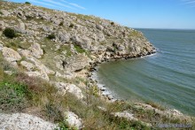 Заповедник Казантип, его природа и обитатели