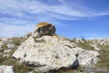 Заповедник Казантип, его природа и обитатели