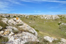 Заповедник Казантип, его природа и обитатели