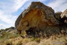 Заповедник Казантип, его природа и обитатели