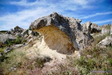 Заповедник Казантип, его природа и обитатели