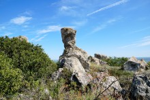 Заповедник Казантип, его природа и обитатели