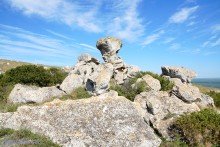 Заповедник Казантип, его природа и обитатели