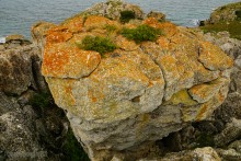 Заповедник Казантип, его природа и обитатели