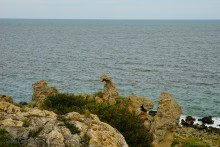 Заповедник Казантип, его природа и обитатели