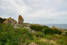 Заповедник Казантип, его природа и обитатели