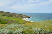 Заповедник Казантип, его природа и обитатели