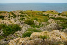 Заповедник Казантип, его природа и обитатели