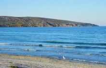 Заповедник Казантип, его природа и обитатели