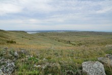 Заповедник Казантип, его природа и обитатели