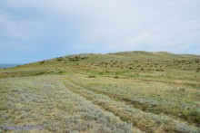 Заповедник Казантип, его природа и обитатели