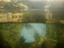 Казантип, медуза корнерот