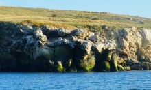 Прогулки по заповеднику на полуострове Казантип. По скалам и пляжам в обществе птиц и медуз