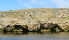 Прогулки по заповеднику на полуострове Казантип. По скалам и пляжам в обществе птиц и медуз