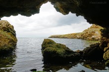 Прогулки по заповеднику на полуострове Казантип. По скалам и пляжам в обществе птиц и медуз