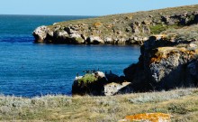 Прогулки по заповеднику на полуострове Казантип. По скалам и пляжам в обществе птиц и медуз