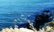 Прогулки по заповеднику на полуострове Казантип. По скалам и пляжам в обществе птиц и медуз