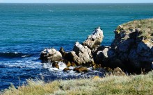 Прогулки по заповеднику на полуострове Казантип. По скалам и пляжам в обществе птиц и медуз