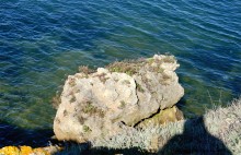 Прогулки по заповеднику на полуострове Казантип. По скалам и пляжам в обществе птиц и медуз