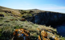Прогулки по заповеднику на полуострове Казантип. По скалам и пляжам в обществе птиц и медуз